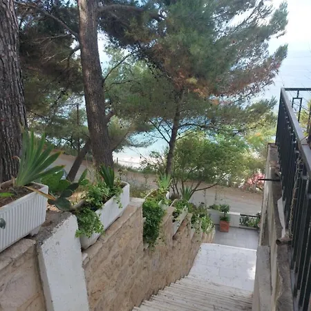 Bral Currila - Peaceful Beachfront *